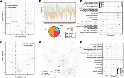 Systematic identification of aberrant non-coding RNAs and their mediated modules in rotator cuff tears